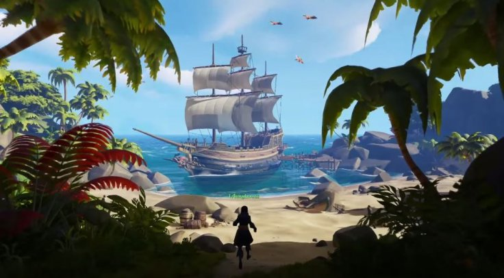 One pirate stands on a beach surrounded by foliage. In the distance you can see a ship in a vast ocean under a blue sky.